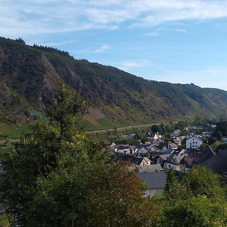 Ferienwohnung Lavendel Cochem Exterior foto